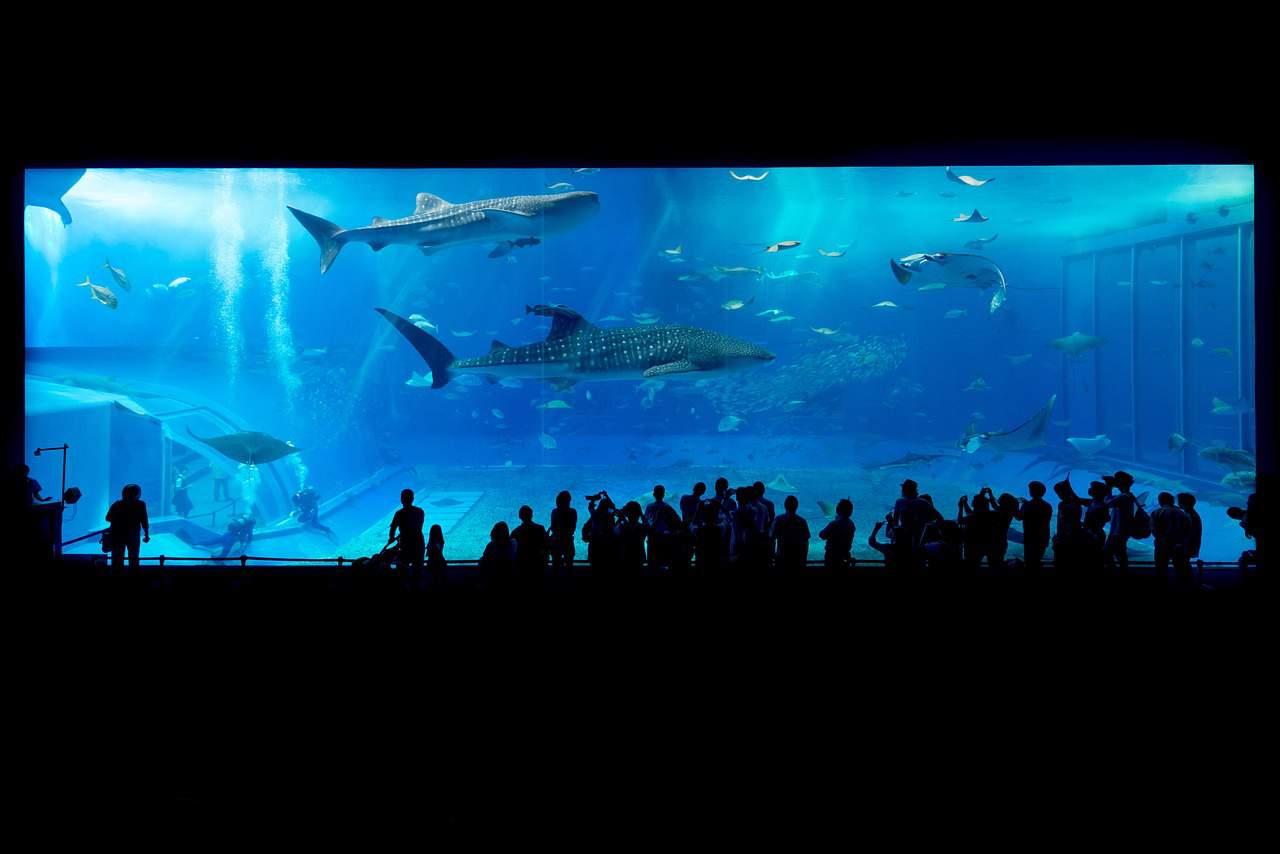 Hurghada Grand Aquarium