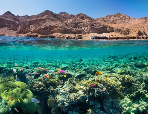 Das Rote Meer