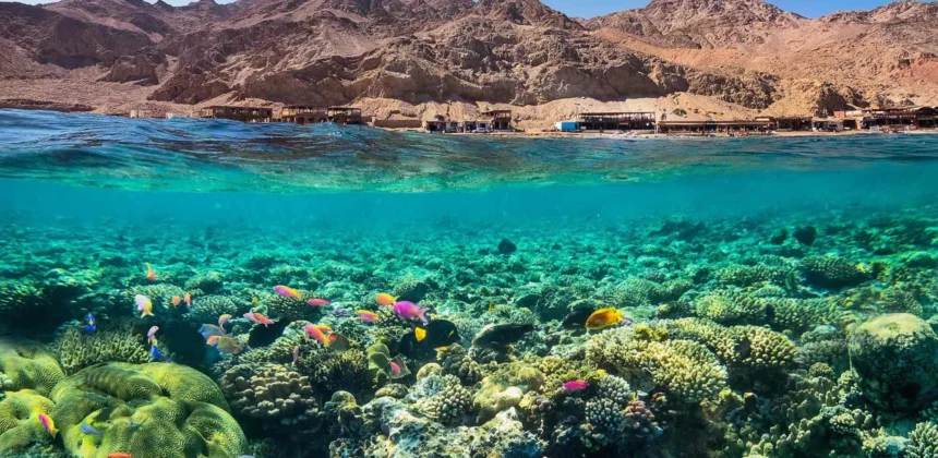 Das Rote Meer