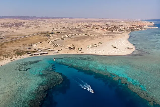 Abu Dabab Marsa Alam – Das Schildkrötenparadies in Marsa Alam
