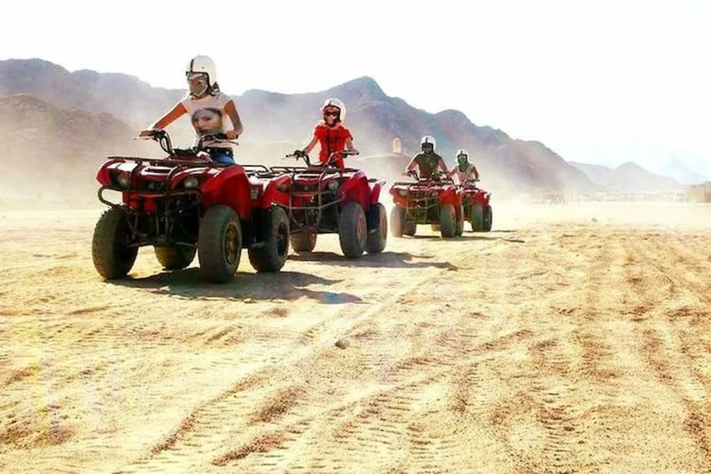 buggy tour