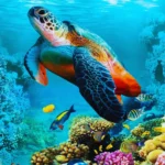 Aquarium Hurghada Preise