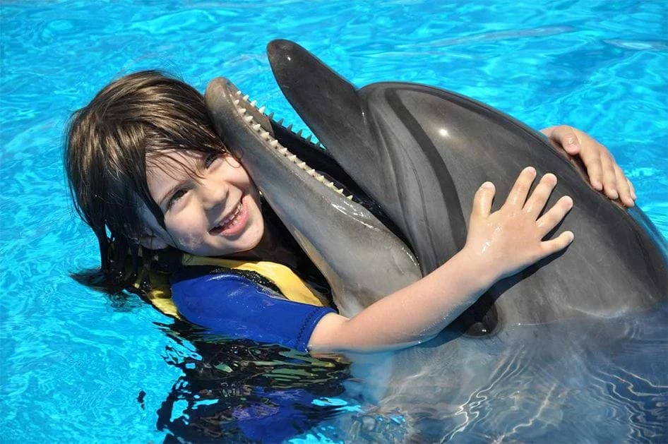 Delfinarium Hurghada Preis
