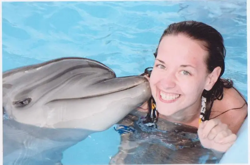 Delfinarium Hurghada Preise – Vollständige Preisübersicht