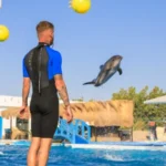 Delfinarium Hurghada Preise