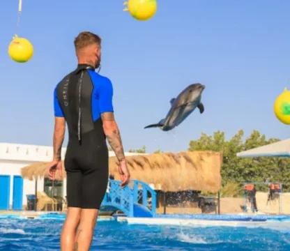 Delfinarium Hurghada Preise