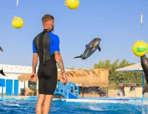 Delfinarium Hurghada Preise