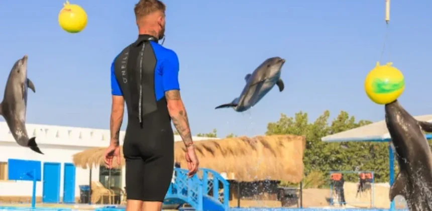 Delfinarium Hurghada Preise