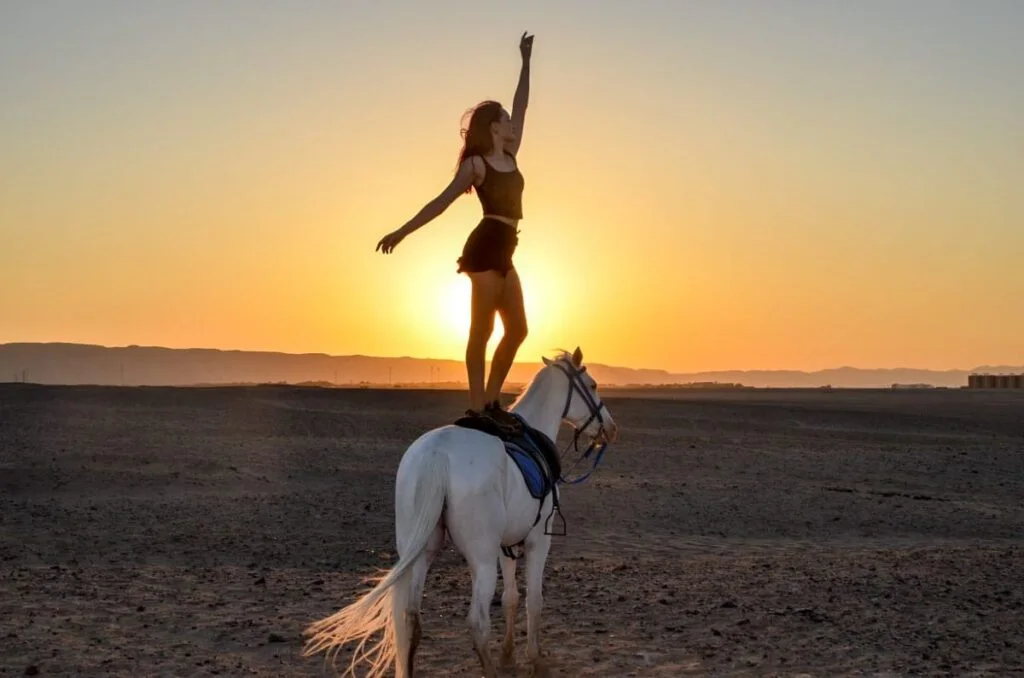 Pferde reiten Hurghada Preise – Reitstunden & Touren