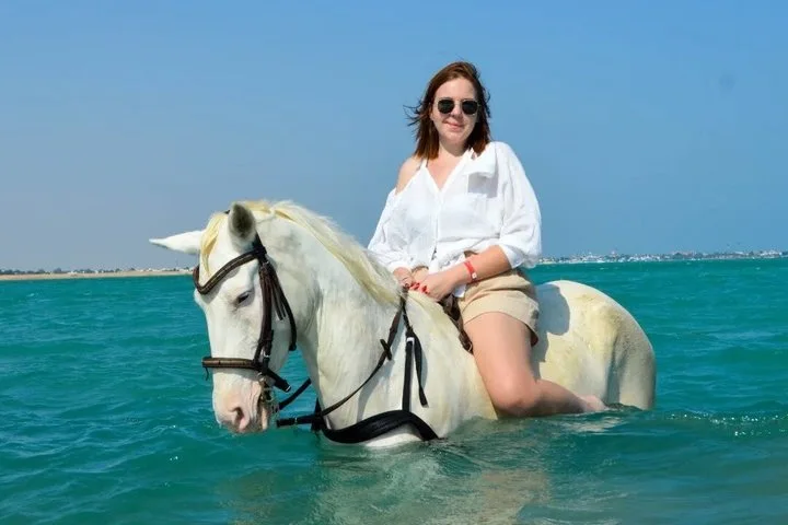 Reiten Hurghada Erfahrungen & Bewertungen