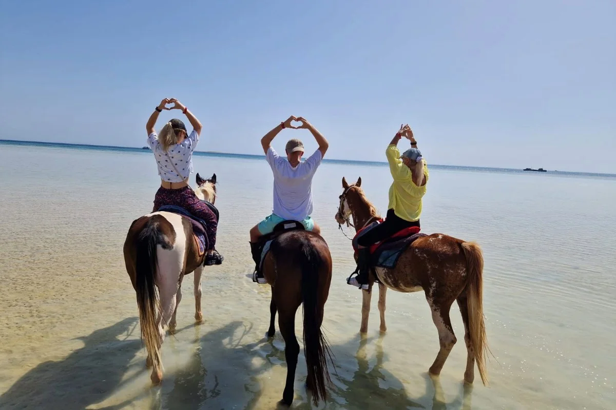 Reiten Hurghada Preise – Aktuelle Kostenübersicht
