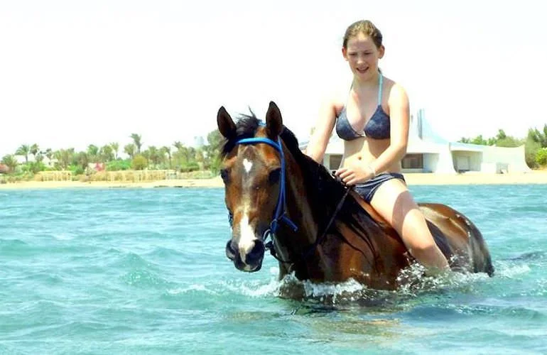 Reiten Hurghada Preise – Fazit & Empfehlungen