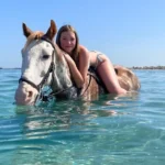Reiten Hurghada Preise