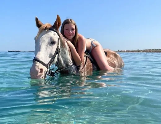 Reiten Hurghada Preise