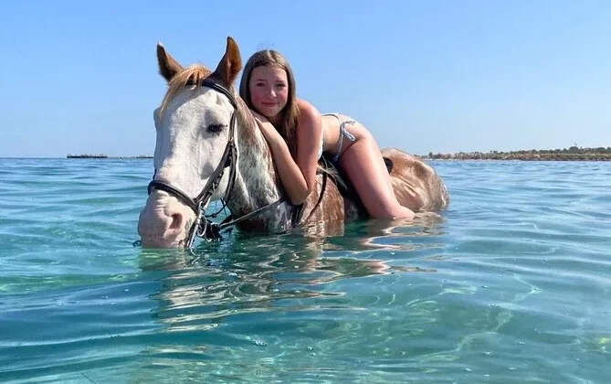 Reiten Hurghada Preise