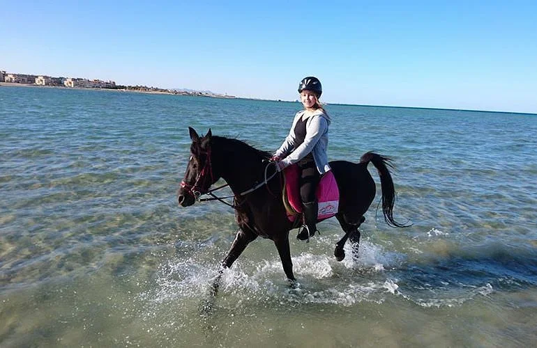 Reiten Hurghada Preise Kostenübersicht nach Tourtyp