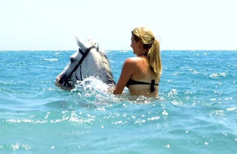 Reiten in der Wüste von Hurghada