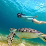 Schnorcheln Hurghada Preise