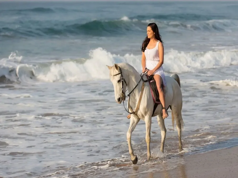 Sicherheit beim Reiten in Hurghada