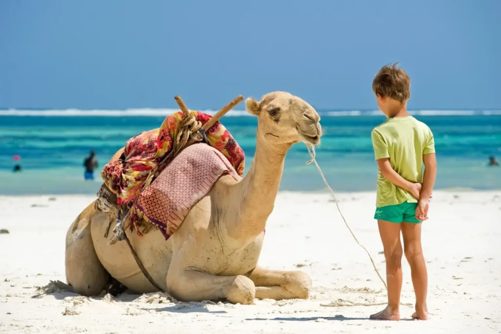 Wüstenabenteuer Safari und Kamelreiten im Urlaub mit Kindern in Hurghada