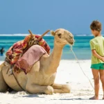 W&uuml;stenabenteuer Safari und Kamelreiten im Urlaub mit Kindern in Hurghada