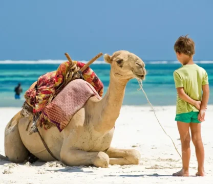 W&uuml;stenabenteuer Safari und Kamelreiten im Urlaub mit Kindern in Hurghada
