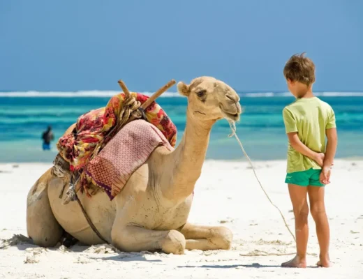 W&uuml;stenabenteuer Safari und Kamelreiten im Urlaub mit Kindern in Hurghada