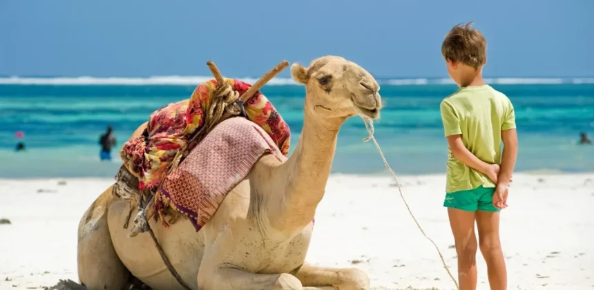 W&uuml;stenabenteuer Safari und Kamelreiten im Urlaub mit Kindern in Hurghada