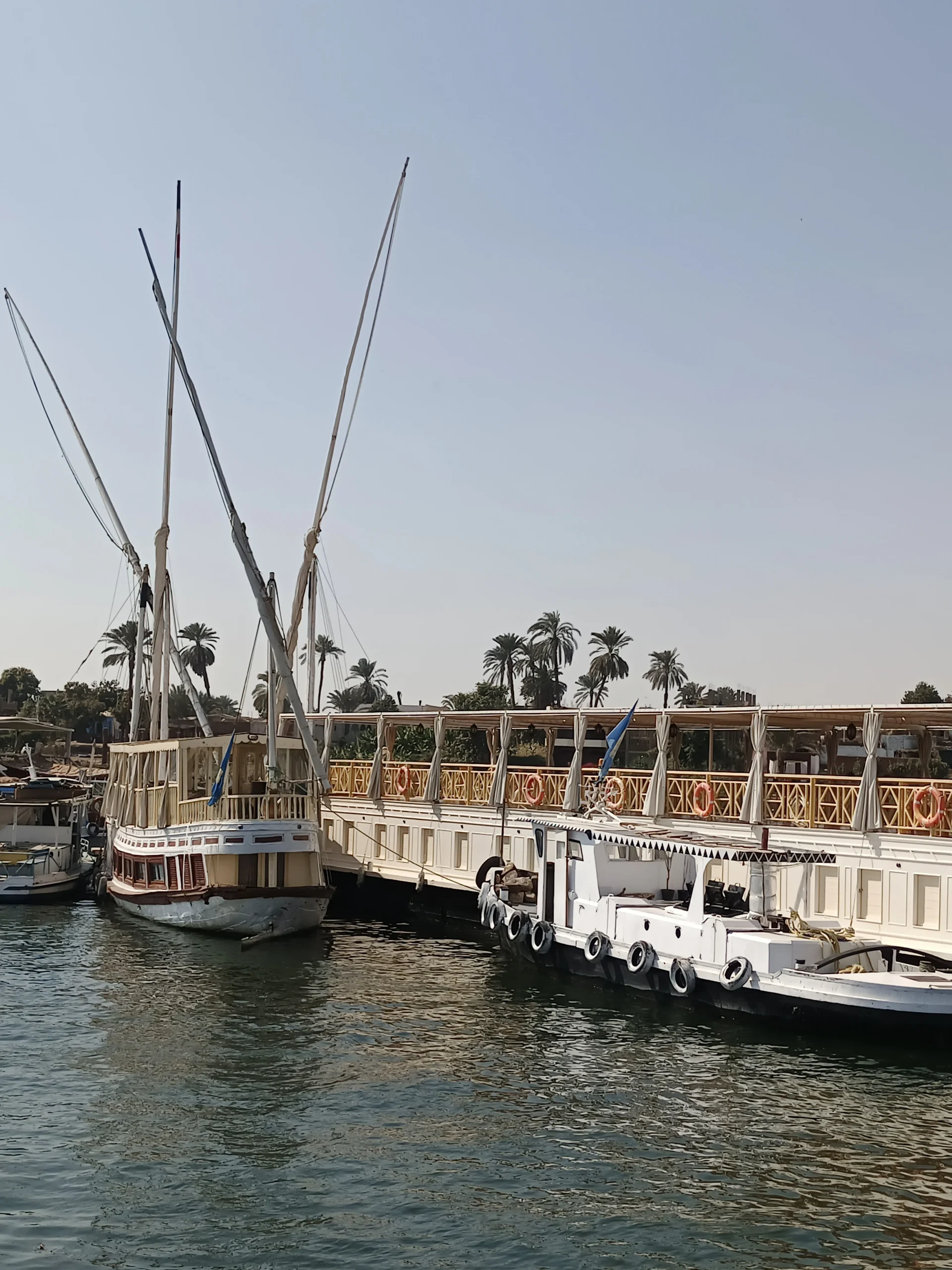 Festget&auml;utes Nilkreuzfahrtschiff mit Segelbooten am Ufer in Luxor vor Palmenkulisse.