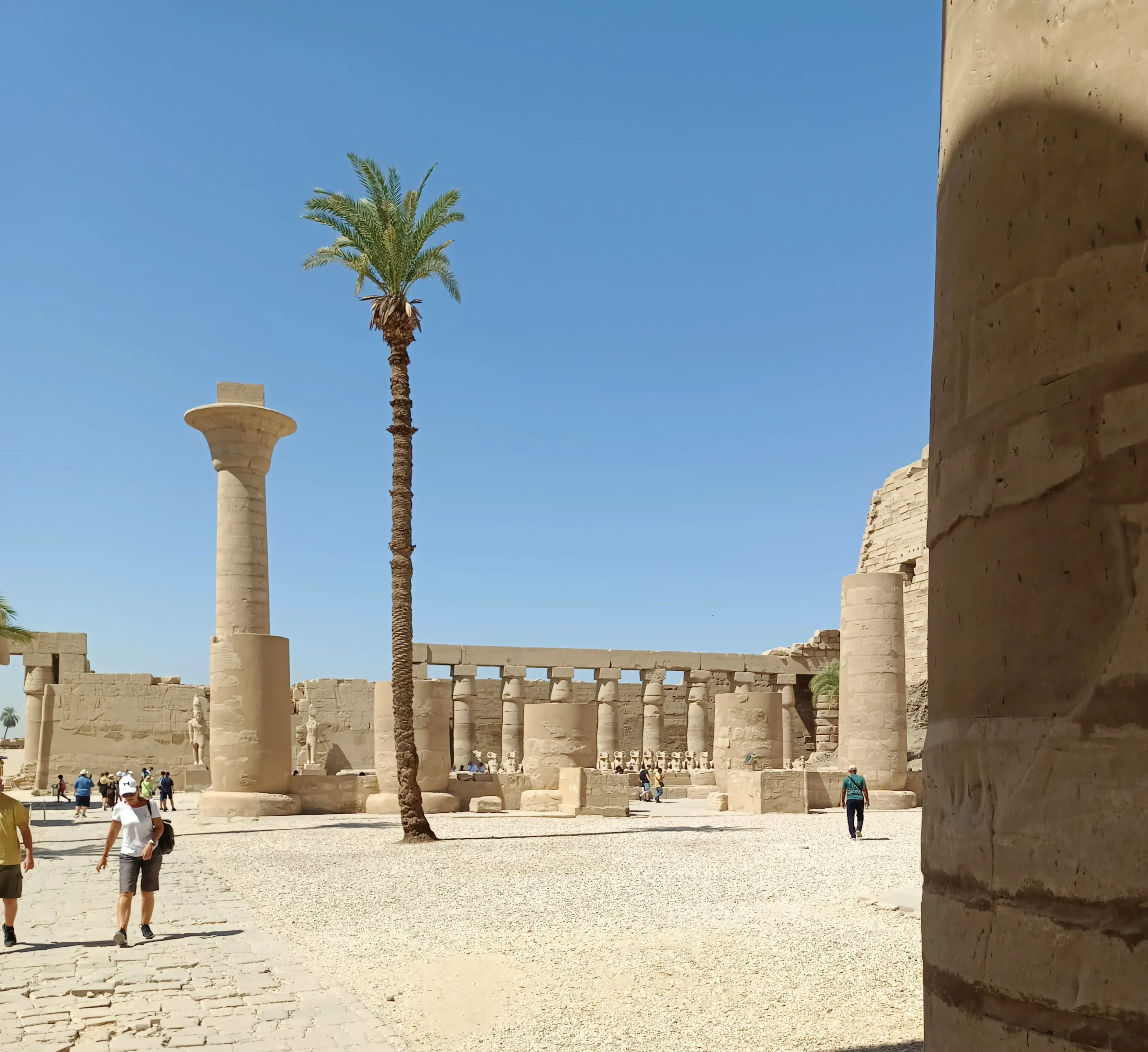 Steinerne Säulen und Palme im Innenhof des Karnak-Tempels in Luxor.