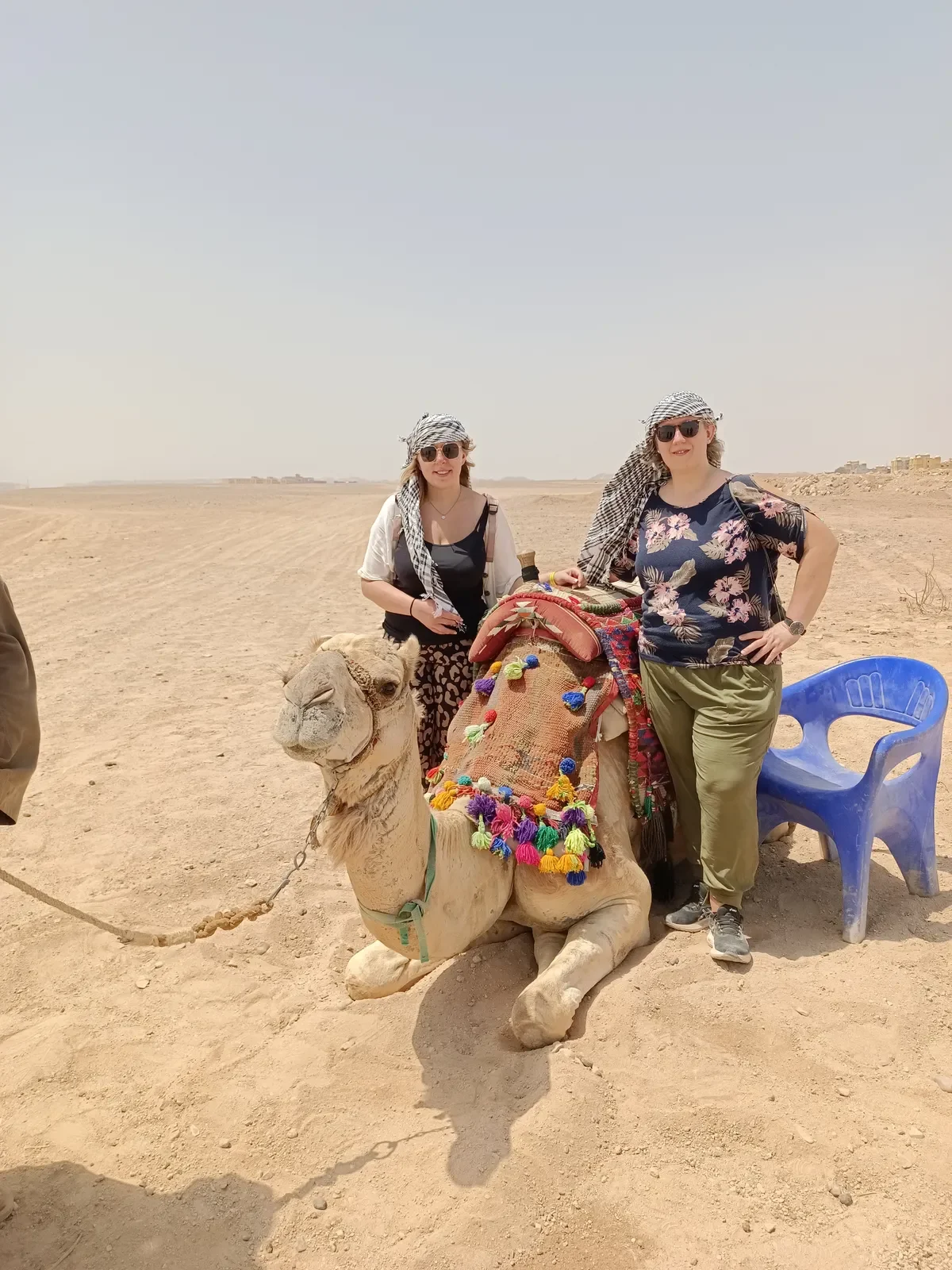 Touristinnen posieren mit einem geschmückten Kamel in der ägyptischen Wüste bei Kairo.