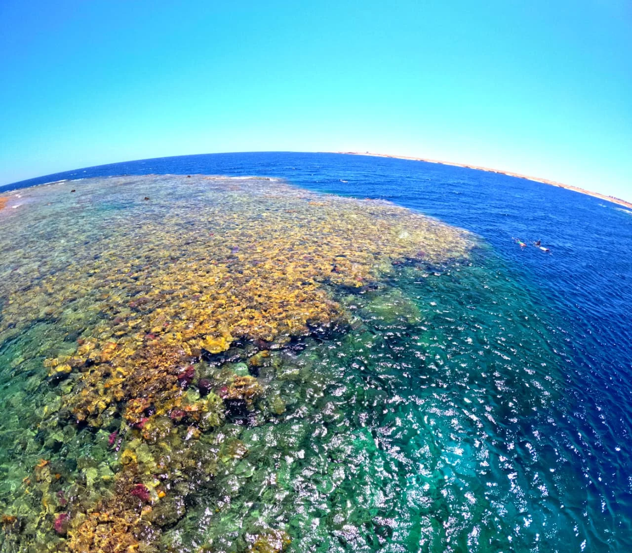 Korallenriff im t&uuml;rkisfarbenen Wasser vor Hurghada aus der Vogelperspektive.