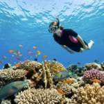 Schnorchlerin schwimmt &uuml;ber bunten Korallenriff in Makadi Bay