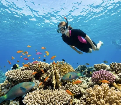 Schnorchlerin schwimmt &uuml;ber bunten Korallenriff in Makadi Bay