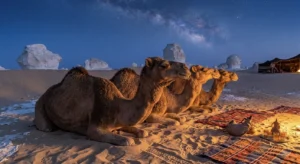 Wei&szlig;e W&uuml;ste &Auml;gypten Reise: Der komplette Guide 2026